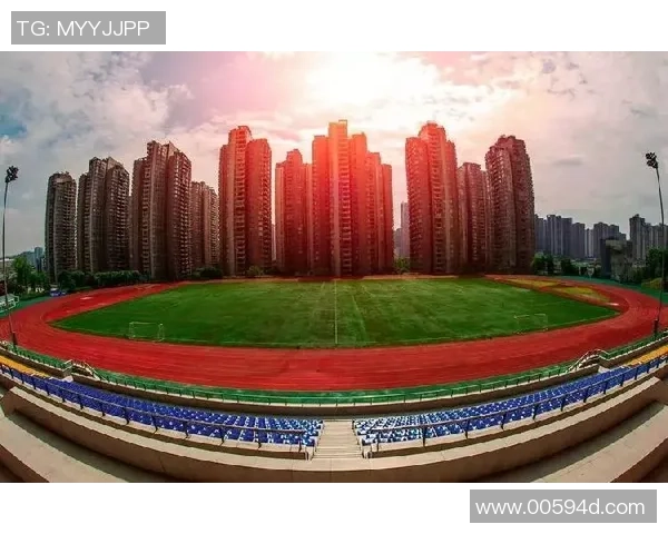 重庆乒乓球队实力飙升创历史新高引发全国关注与热议